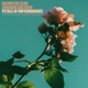 Petals of Impermanence Single
