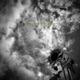 The Sunflower Single