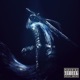 In the dark Single