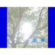 夏空散華 Single