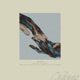 Change Single