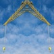 A Large Yellow Crane Single