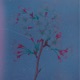 Indigo Single