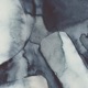 Echolocation feat Cosmo Sheldrake Single