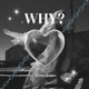 Why Single