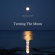 Turning The Moon Single