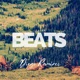 Salsa Beats
