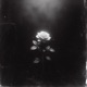 Reset Button EP