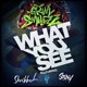 What You See feat Stray Skribbal Single