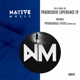 Progressive Experience Single