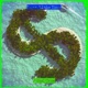 Party All the Time EP