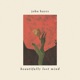 Beautifully Lost Mind Single