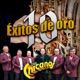 10 Éxitos de Oro
