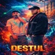 Destul feat Feitan Single