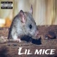 Lil mice Single