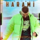 Harami Single