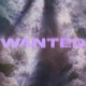 Wanted feat synush Single