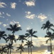Summer Breeze Single