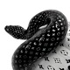 The Snake Single