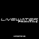 Primitive Single