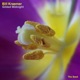 Gilded Midnight Single