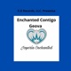 Enchanted Contigo Single