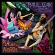 Peacful Words feat Shazam