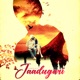 Jaadugari Single
