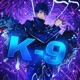 K 9 feat 954Mari Single