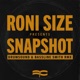 Snapshot Drumsound Bassline Smith Remix Single
