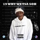 19 Why Wetsa Soh feat GreedyMeddie Pitsy Tumi Sdomane Single