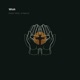 W I S H feat Ali Naci Temel Beautiful Escape Single