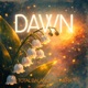 Dawn Pirkadat Audiovault Presents Total Balance Itinera Single