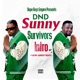 Sunny Survivors Single