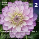 Peos 10 korte avspenninger del 2 Avspenning en god pause album 2 av 10