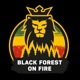 Black Forest On Fire Acoustic Single