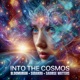 Into The Cosmos Single