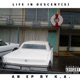 Life in Descents The Interlude