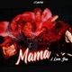 Mama I Love You Single