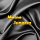 Meine Jungzzz feat Henk Single