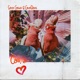 California Dreamin Single
