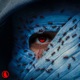 Sharingan EP