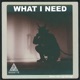 What I Need Single