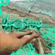 vakeishon Single