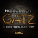 Gatz Big Sound VIP Single
