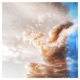 Beach Dreams Single