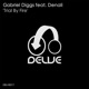 Trial By Fire feat Denali Single