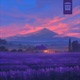 Lavender Fields Single