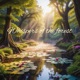 Whispers of the forest