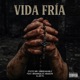 Vida Friá feat Briannalee Abadon Jay R Single